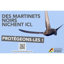 Panneau "Des martinets noirs nichent ici, protégeons-les !"