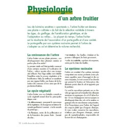 La taille douce des arbres fruitiers en permaculture