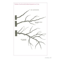 La taille douce des arbres fruitiers en permaculture