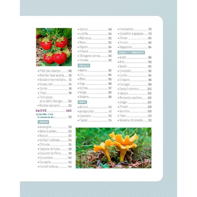 Le Traité Rustica cultiver et glaner au fil des saisons