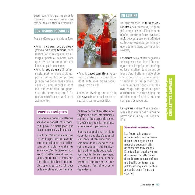 Le Traité Rustica cultiver et glaner au fil des saisons