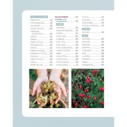 Le Traité Rustica cultiver et glaner au fil des saisons