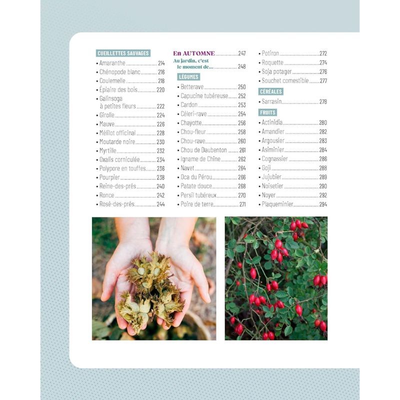 Le Traité Rustica cultiver et glaner au fil des saisons