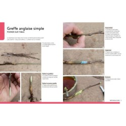 Greffer facilement - Les arbres fruitiers et d'ornement