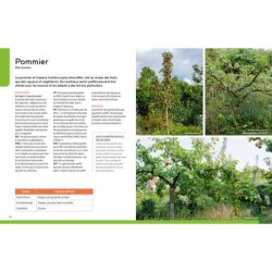 Greffer facilement - Les arbres fruitiers et d'ornement