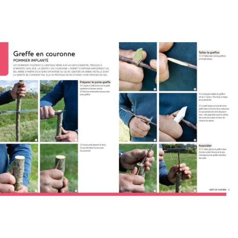 Greffer facilement - Les arbres fruitiers et d'ornement