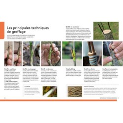 Greffer facilement - Les arbres fruitiers et d'ornement