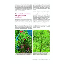 Petits arbres fruitiers (presque) sans entretien