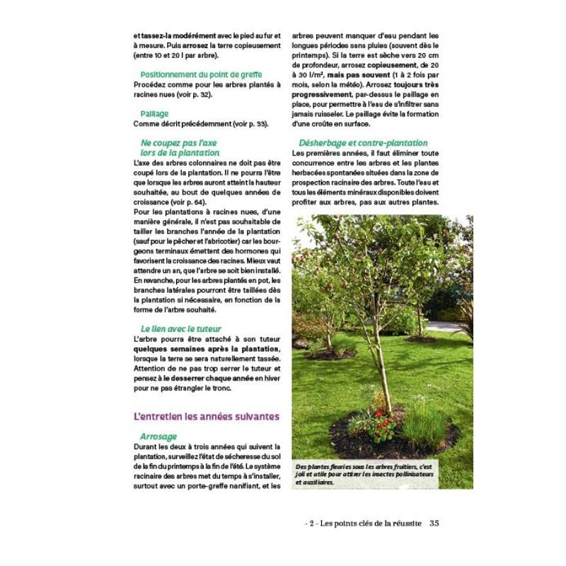 Petits arbres fruitiers (presque) sans entretien