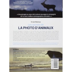 Les secrets de la photo d'Oiseaux - Repérages - Approche - Affûts - Prise de vue