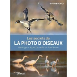 Les secrets de la photo d'Oiseaux - Repérages - Approche - Affûts - Prise de vue