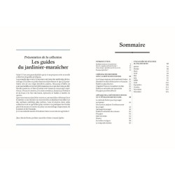 Une année de légumes