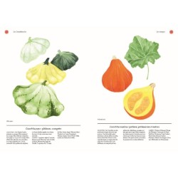 Les légumes fruits