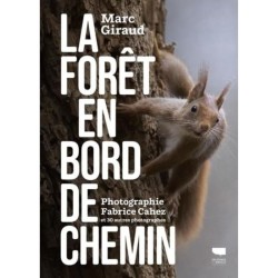 La Forêt en bord de chemin