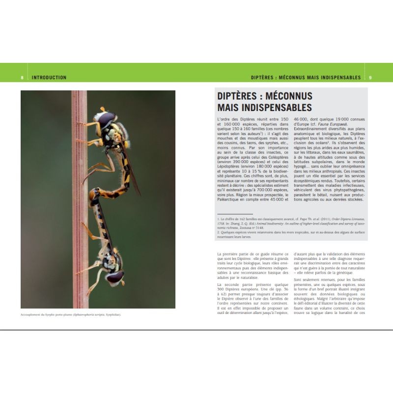 Mouches et Moustiques d'Europe