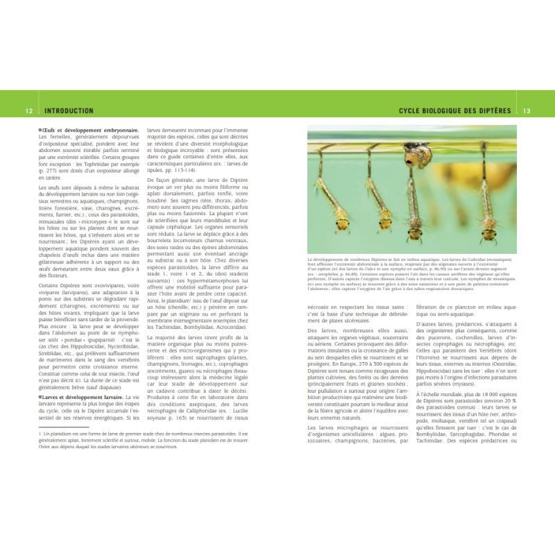 Mouches et Moustiques d'Europe