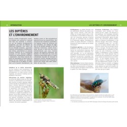 Mouches et Moustiques d'Europe