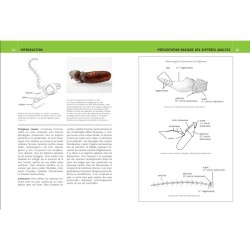 Mouches et Moustiques d'Europe