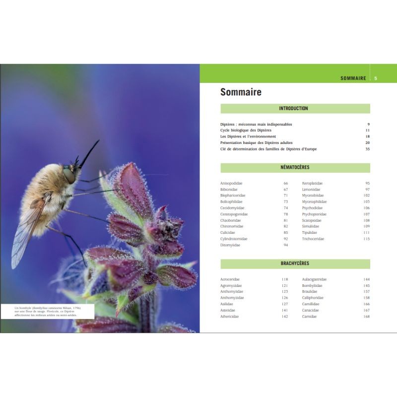 Mouches et Moustiques d'Europe
