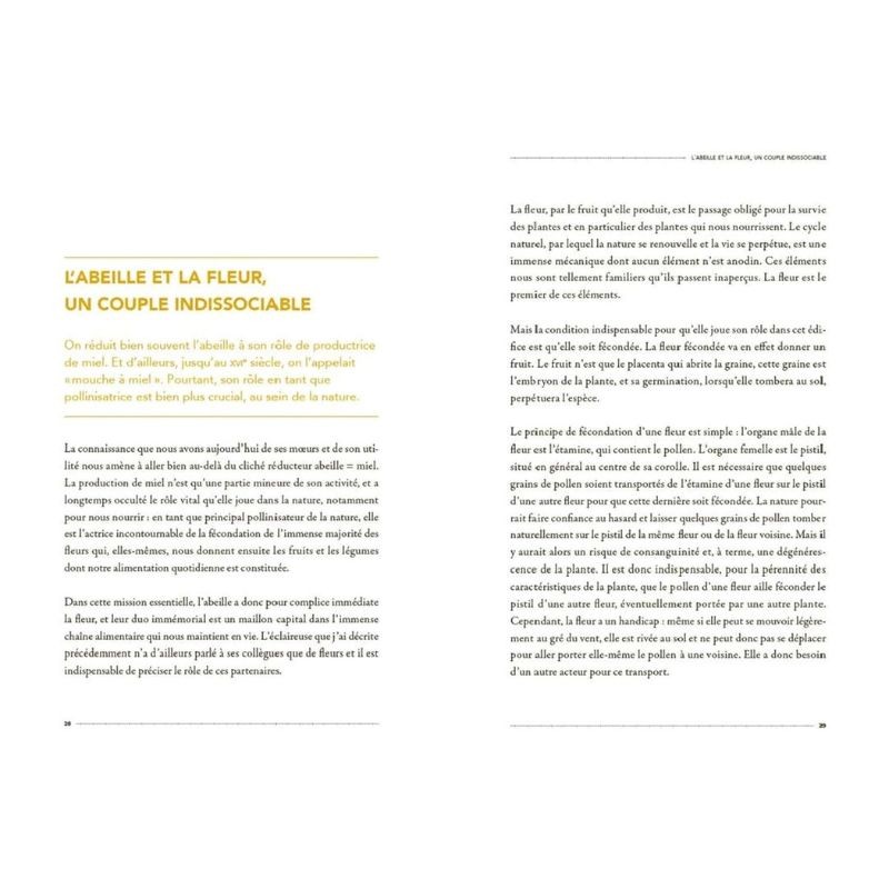 La Vie secrète des Abeilles - L'esprit de la ruche La Vie secrète des Abeilles - L'esprit de la ruche