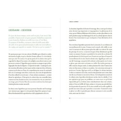 La Vie secrète des Abeilles - L'esprit de la ruche La Vie secrète des Abeilles - L'esprit de la ruche