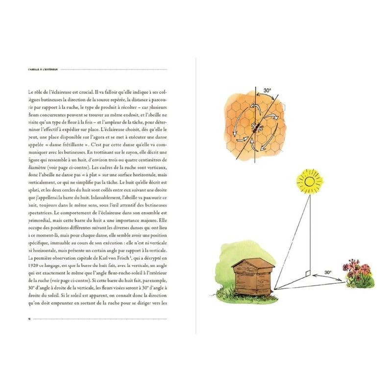 La Vie secrète des Abeilles - L'esprit de la ruche La Vie secrète des Abeilles - L'esprit de la ruche