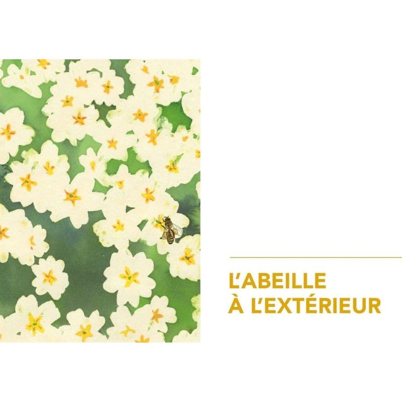 La Vie secrète des Abeilles - L'esprit de la ruche La Vie secrète des Abeilles - L'esprit de la ruche