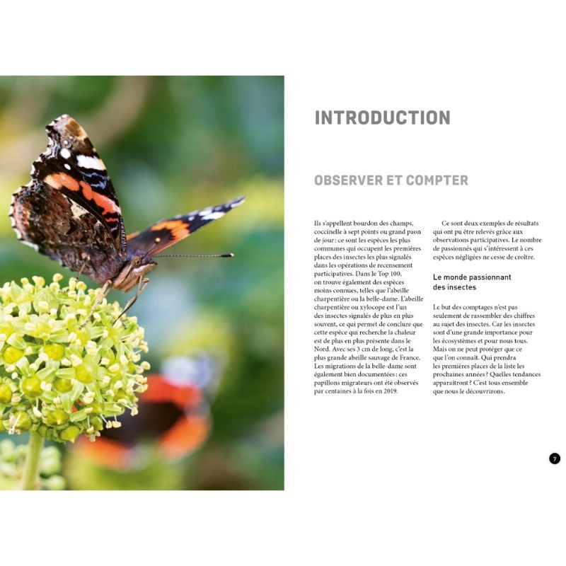 Quel est cet insecte ? Reconnaître 75 insectes les plus courants et favoriser leur présence Quel est cet insecte ? Reconnaître 75 insectes les plus courants et favoriser leur présence