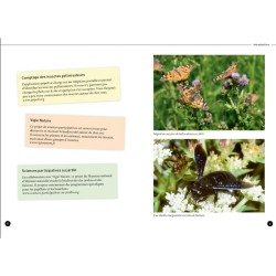 Quel est cet insecte ? Reconnaître 75 insectes les plus courants et favoriser leur présence Quel est cet insecte ? Reconnaître 75 insectes les plus courants et favoriser leur présence