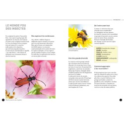 Quel est cet insecte ? Reconnaître 75 insectes les plus courants et favoriser leur présence Quel est cet insecte ? Reconnaître 75 insectes les plus courants et favoriser leur présence