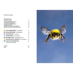 Quel est cet insecte ? Reconnaître 75 insectes les plus courants et favoriser leur présence Quel est cet insecte ? Reconnaître 75 insectes les plus courants et favoriser leur présence