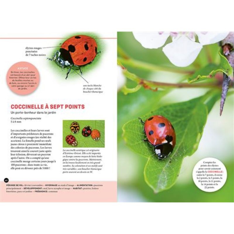 Quel est cet insecte ? Reconnaître 75 insectes les plus courants et favoriser leur présence Quel est cet insecte ? Reconnaître 75 insectes les plus courants et favoriser leur présence