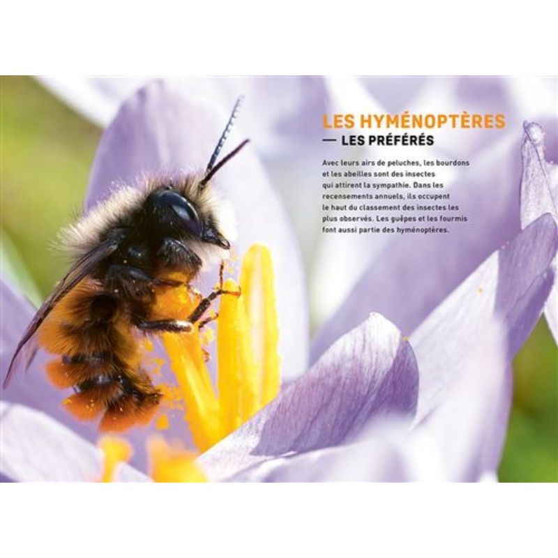 Quel est cet insecte ? Reconnaître 75 insectes les plus courants et favoriser leur présence Quel est cet insecte ? Reconnaître 75 insectes les plus courants et favoriser leur présence