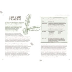 Une année à l'école de la forêt - Jouer en plein air & apprendre en s'amusant à chaque saison Une année à l'école de la forêt - Jouer en plein air & apprendre en s'amusant à chaque saison