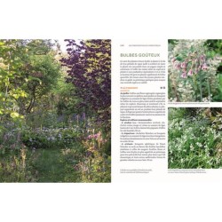 Toutes les plantes belles et comestibles