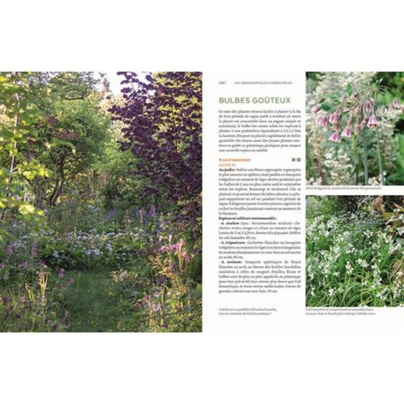 Toutes les plantes belles et comestibles