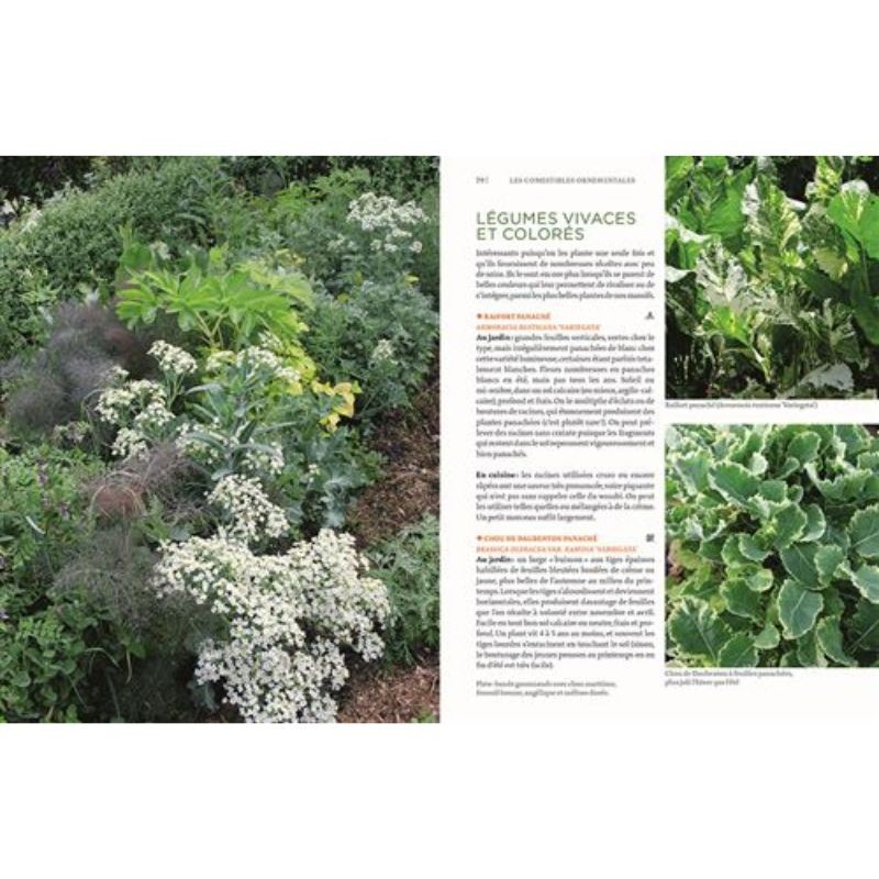 Toutes les plantes belles et comestibles