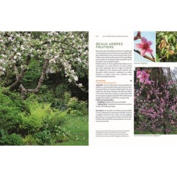 Toutes les plantes belles et comestibles