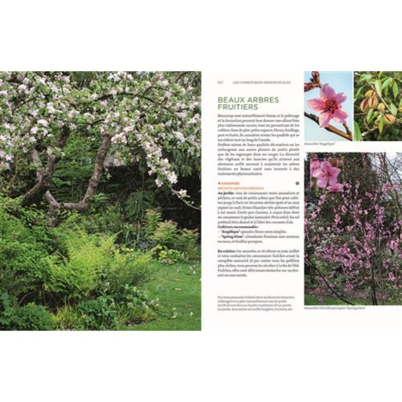 Toutes les plantes belles et comestibles