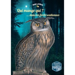 Qui mange qui ?... dans les forêts wallonnes