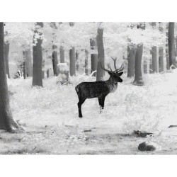 Leica Calonox 2 View - Monoculaire d'imagerie thermique