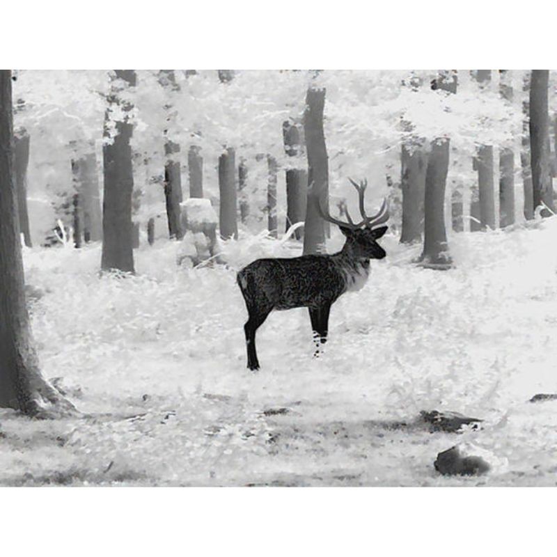 Leica Calonox 2 View - Monoculaire d'imagerie thermique