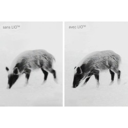 Leica Calonox 2 View - Monoculaire d'imagerie thermique
