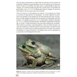 Les Amphibiens de France - Guide d'identification des œufs et des larves