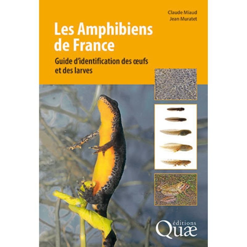 Les Amphibiens de France - Guide d'identification des œufs et des larves