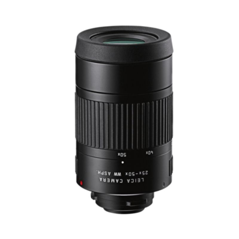 Leica APO-Televid 65 coudée + oculaire 25-50x - Longue-vue Leica APO-Televid 65 coudée + oculaire 25-50x - Longue-vue