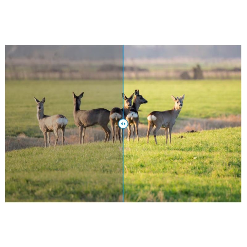 Zeiss Victory SF 10x42 - Jumelles Zeiss Victory SF 10x42 - Jumelles