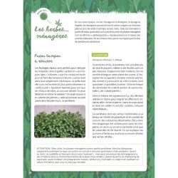 Mauvaises herbes, même pas peur ! Mauvaises herbes, même pas peur !