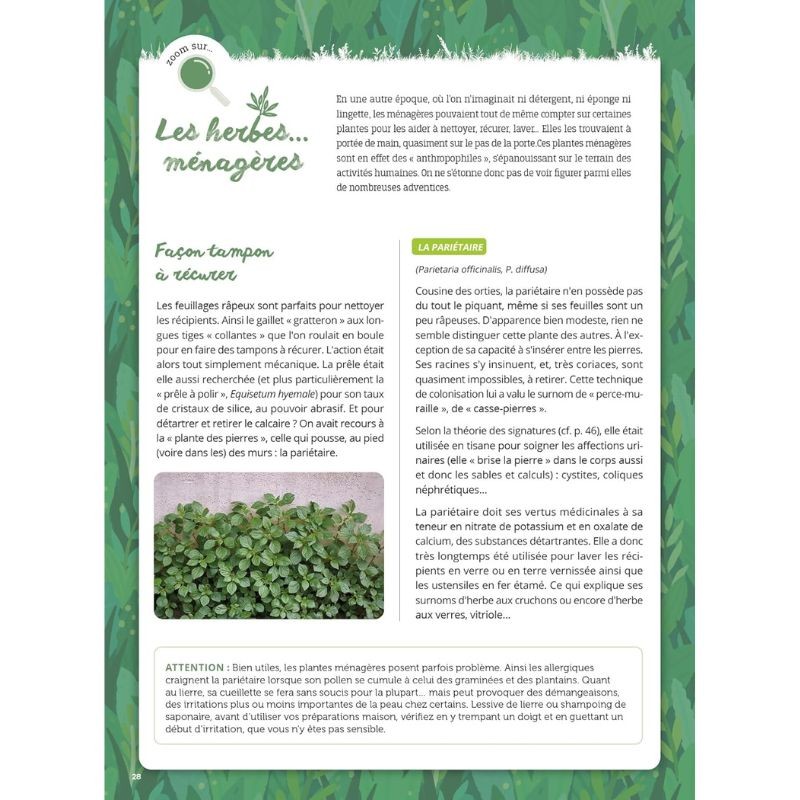 Mauvaises herbes, même pas peur ! Mauvaises herbes, même pas peur !