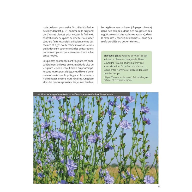 Mauvaises herbes, même pas peur ! Mauvaises herbes, même pas peur !